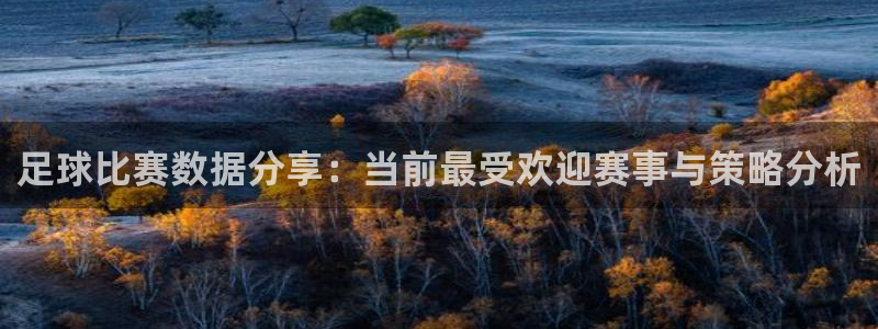 足球比赛数据分享：当前最受欢迎赛事与策略分析