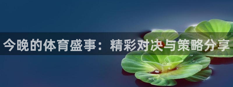 今晚的体育盛事：精彩对决与策略分享