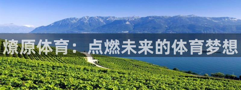 燎原体育：点燃未来的体育梦想