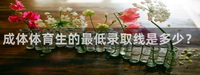 成体体育生的最低录取线是多少？