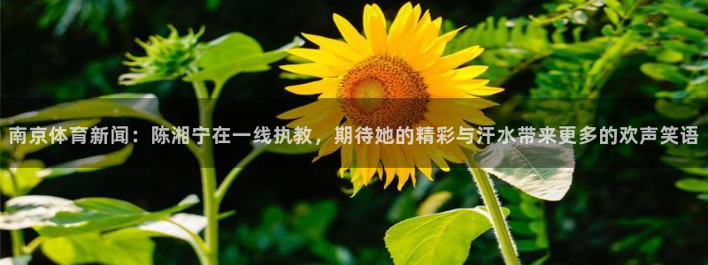 南京体育新闻：陈湘宁在一线执教，期待她的精彩与汗水带来更多的欢声笑语