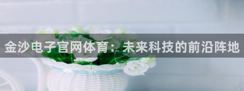 金沙电子官网体育：未来科技的前沿阵地