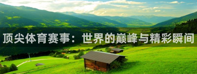 顶尖体育赛事：世界的巅峰与精彩瞬间