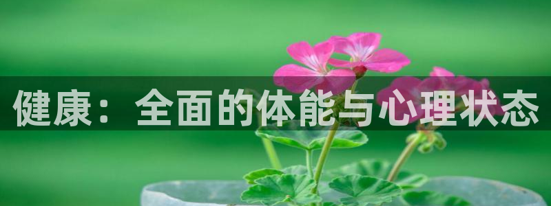 健康：全面的体能与心理状态