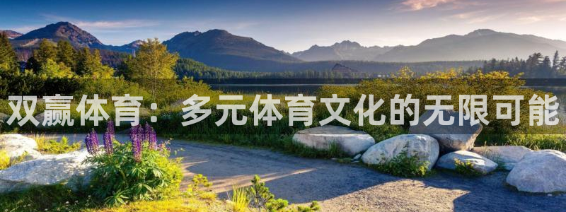 火凤直播nba：双赢体育：多元体育文化的无限可能