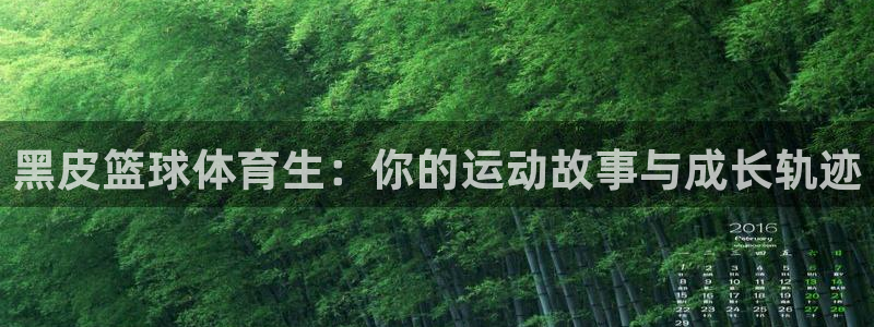 nba免费直播 火凤