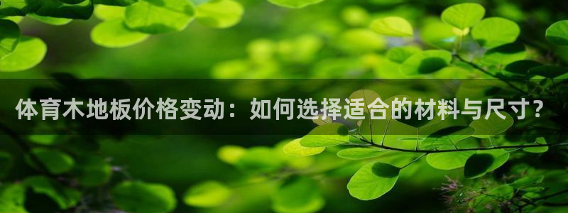 火凤直播nba赛事