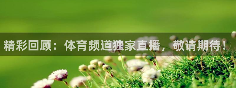 火凤直播体育足球：精彩回顾：体育频道独家直播，敬请期待！