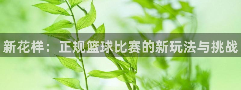 火凤体育：新花样：正规篮球比赛的新玩法与挑战